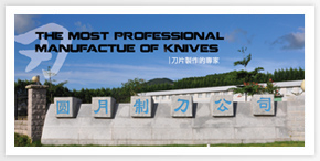 关于公司